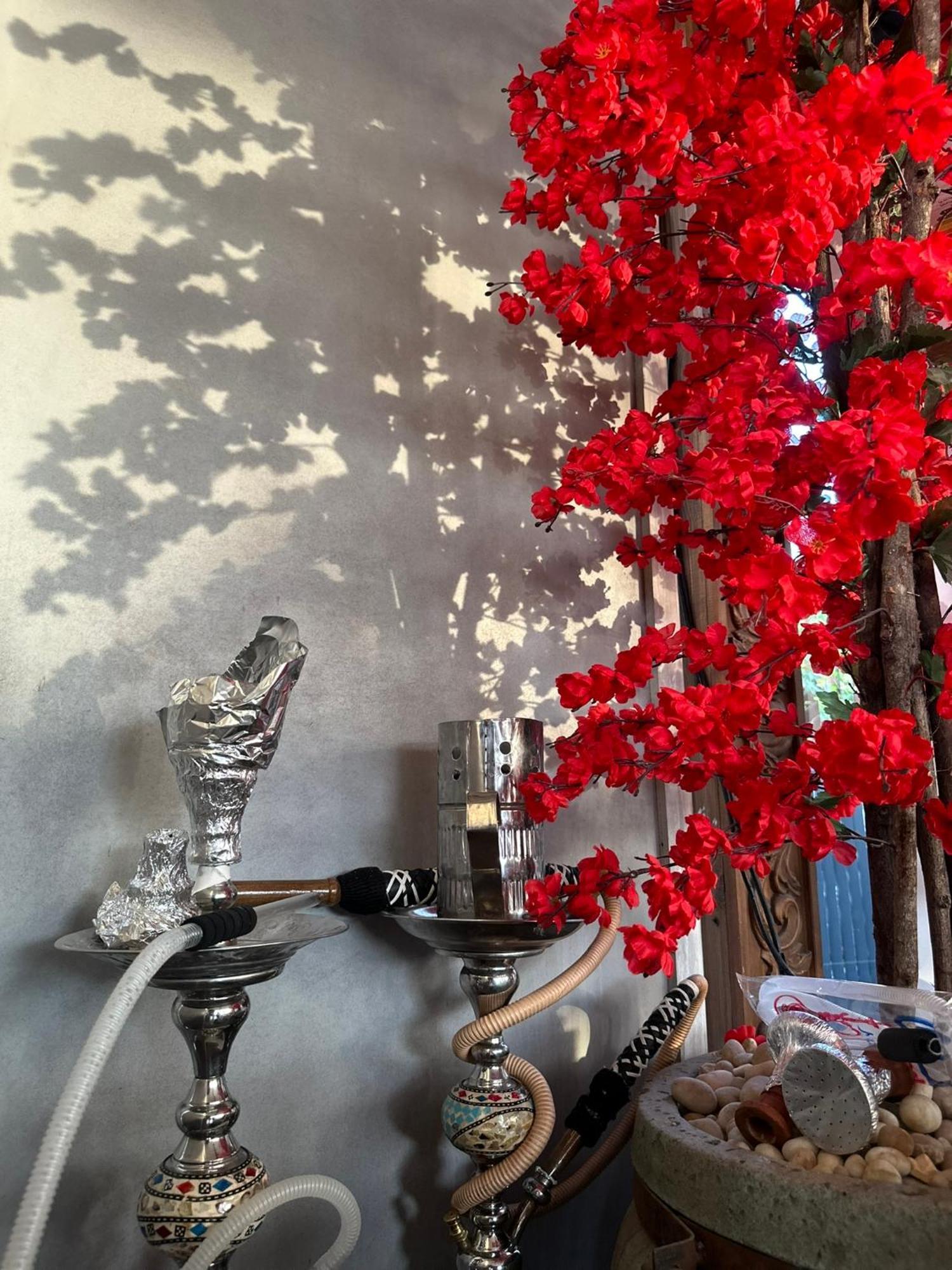 Modern 1 - Bedroom In Zamalek Visits Allowed - 8b El Cairo